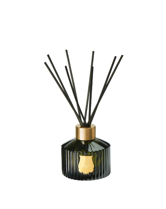 ERNESTO DIFFUSER